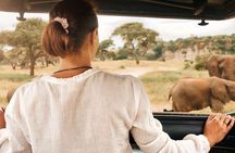 3-Hour Scheduled Safari Game Drive in Pilanesberg National Park