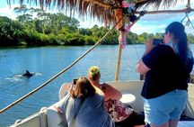 Cocoa Beach 2 Hour Dolphin Sightseeing tour- public
