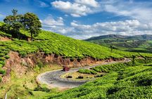From Kochi: Day Tour to Munnar with Tea Garden and Waterfalls