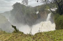 3 Day Murchison Falls NP Wildlife Tour, Chimps & Rhino Tracking. 
