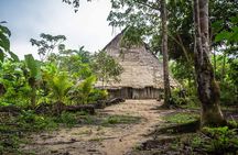 Full jungle experience tour