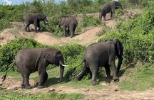 3 Day Queen Elizabeth National Park Budget Tour