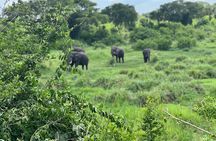 3 Day Queen Elizabeth National Park Budget Tour