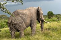 3 Day Queen Elizabeth National Park Budget Tour