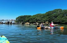 Kayaking Clear through Clearwater