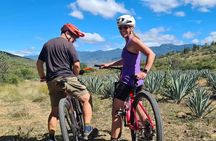 MTB Bike Tour: Local Trails in Monte Albán and Atzompa

