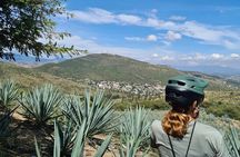 MTB Bike Tour: Local Trails in Monte Albán and Atzompa
