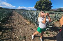 Danzantes Premium Mezcal, Hierve el Agua, Textiles & Lunch