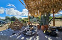 Private Lunch in Mezcal Maguey Fields 