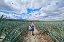 Danzantes Premium Mezcal, Hierve el Agua, Textiles & Lunch