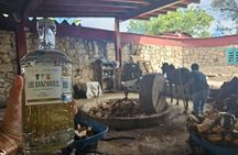 Danzantes Premium Mezcal, Hierve el Agua, Textiles & Lunch