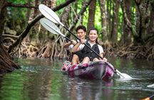 Okinawa Ishigaki Mangrove SUP or Canoe Tour