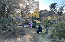 Full Day Tokyo Tour, From/To Tokyo,Yokohama, Narita, 2- 12 guests