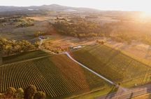 Savour with Swinging Bridge