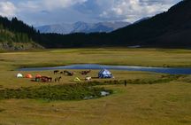 Real Mongolian Adventure! The best highlights of Mongolia
