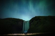 The Northern Lights Hunt 