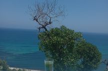 Tangier Assilah Guided Tour and Camel Ride