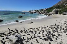 Table Mountain Boulder's Beach and Cape Point