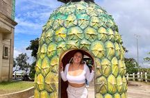Tagaytay Day Tour sightseeing with Panoramic Taal volcano view