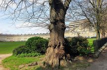 Bath - (4 hours) Extended Walking Tour - Blue Badge guide
