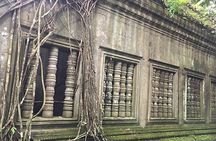 1 Day Banteay Srei Temple, Waterfalls and Beng Mealea Temple