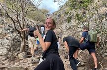 Le Morne Mountain: Guided Hike With Our Professional Local Guides