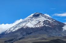 Strenuously Cotopaxi Volcano and birding by the lagoon