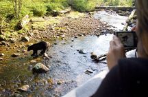 PRIVATE TOUR: Kananaskis Safari Drive and Guided Nature Walk 4H