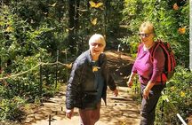 3 day Tour to Discover the Magic of Mexico & Monarch Butterflies