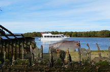 90 Minute Port River Dolphin & Ships Graveyard Cruise