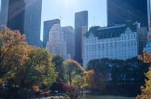 Central Park Private Pedicab Tour (2hrs) 