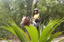 Horse Ride to Cenote Mil Columnas