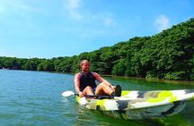 Okinawa Ishigaki Mangrove SUP or Canoe Tour