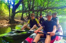 Okinawa Ishigaki Mangrove SUP or Canoe Tour