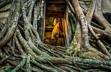 Amphawa Floating & Maeklong Railway Train Market (Small Group)