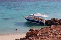 Daymaniyat island Natural Reserve and Dolphin Watching