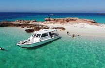 Daymaniyat island Natural Reserve and Dolphin Watching