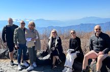 Full Day Mt.Fuji&Hakone Tour, From-To Tokyo, Yokohama, 2-12guests