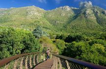Kirstenbosch and Table Mountain Tour 