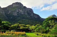 Kirstenbosch and Table Mountain Tour 