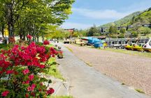 Full-Day Private Nikko Tour from Tokyo wd English Speaking Driver
