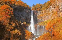 Full-Day Private Nikko Tour from Tokyo wd English Speaking Driver
