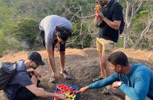 Minneriya National Park Elephant Jeep Safari Private Tour