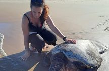2 Days Safari in Maputo National Park