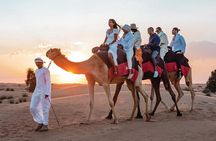 VIP Half Day Private Desert Safari in Dubai
