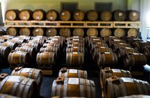 Visit at Modena Balsamic Vinegar producer