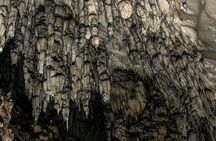 Full Day Trip from Belgrade: Uvac Nature Reserve Tour 