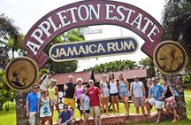 Private YS Falls & Appleton Estate Rum tour from Montego Bay 