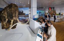 American Museum of Natural History Admission Ticket