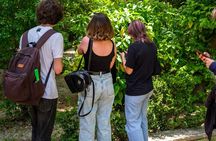 Athens Private National Garden Treasure Hunt w Snacks